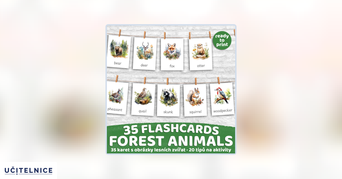 FLASHCARDS FOREST ANIMALS | Karty a 20 aktivit do výuky | Učitelnice