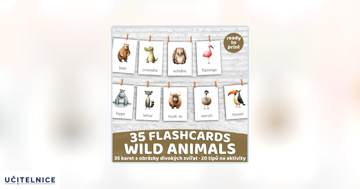 FLASHCARDS WILD ANIMALS | Karty a 20 aktivit do výuky | Učitelnice