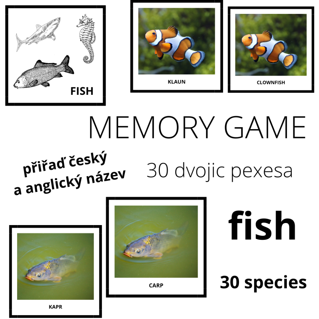 Random Access Memory Fish FISH - memory game (30 species) | Učitelnice