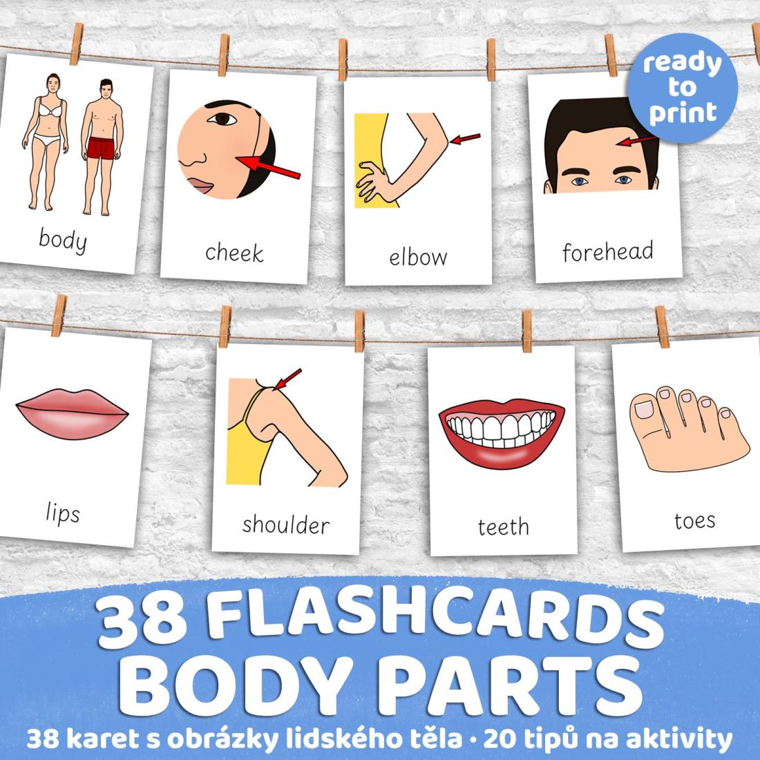 FLASHCARDS BODY PARTS | Karty a 20 aktivit do výuky | Učitelnice