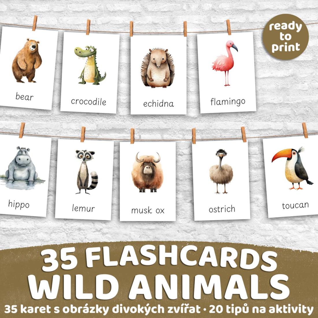 FLASHCARDS WILD ANIMALS | Karty a 20 aktivit do výuky | Učitelnice