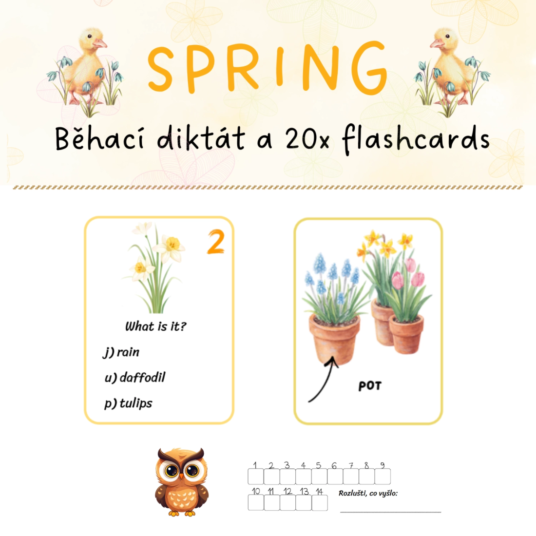 Spring - běhací diktát a 20x flashcards - set | Učitelnice