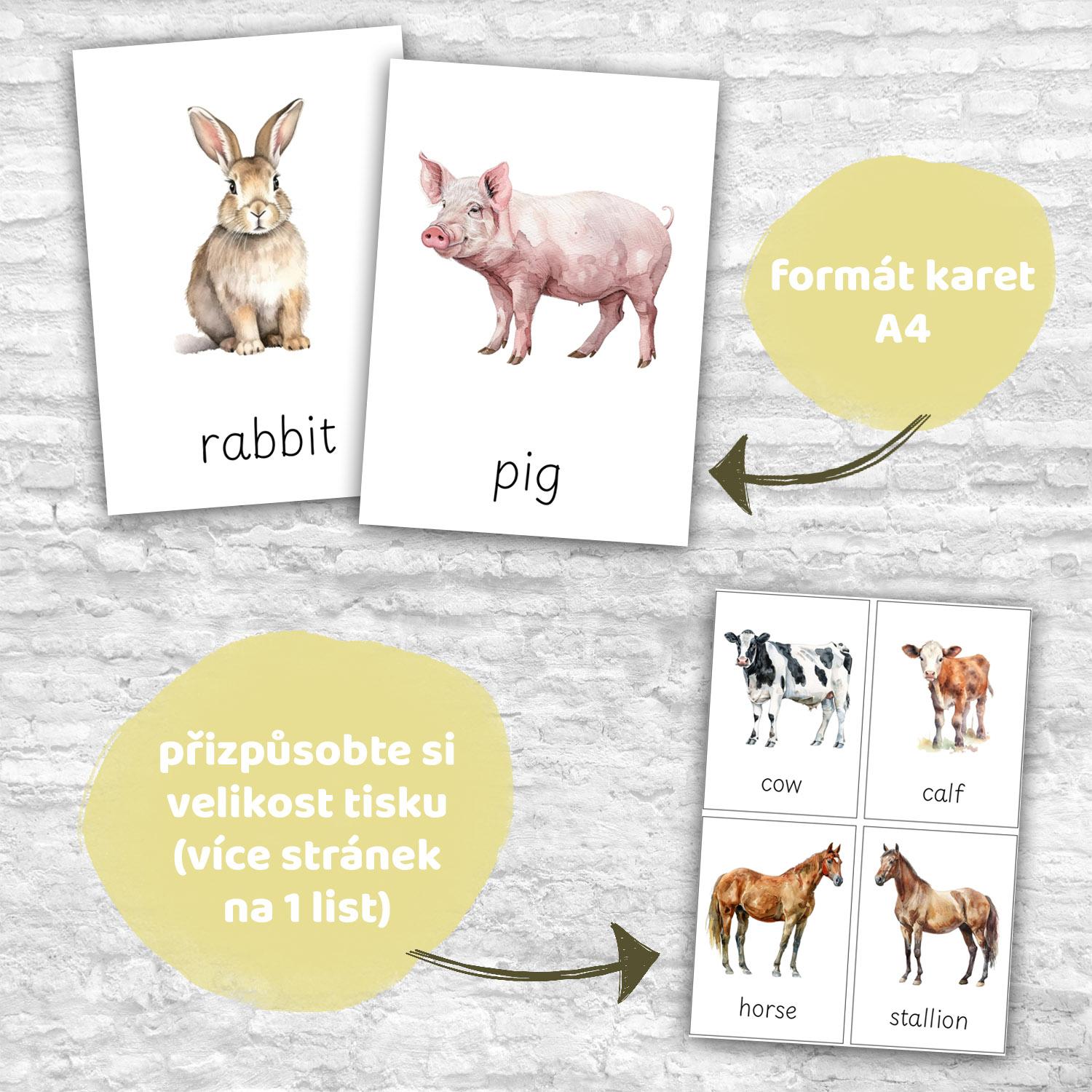 FLASHCARDS FARM ANIMALS | Karty a 20 aktivit do výuky | Učitelnice