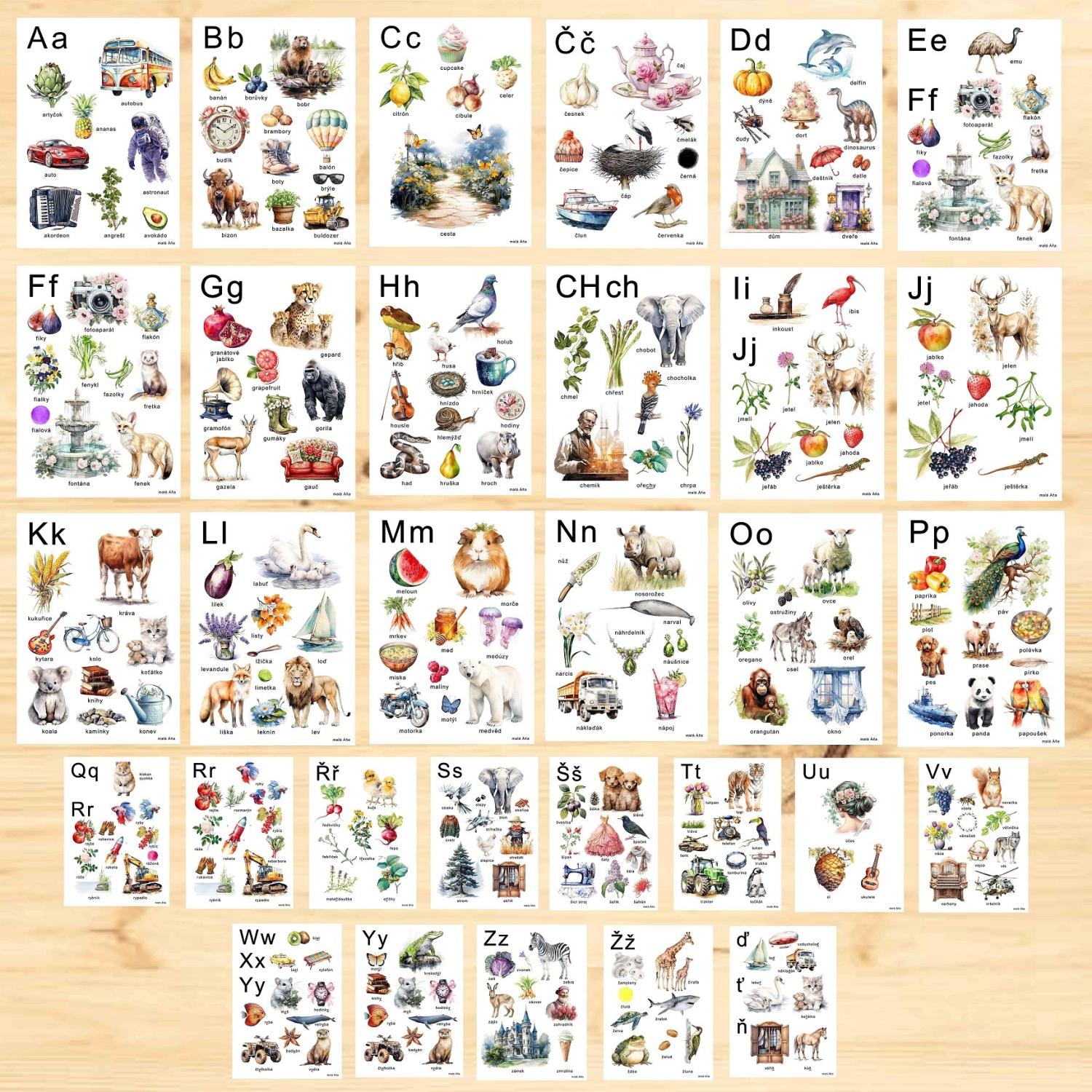 abeceda-31-plak-t-a4-u-itelnice