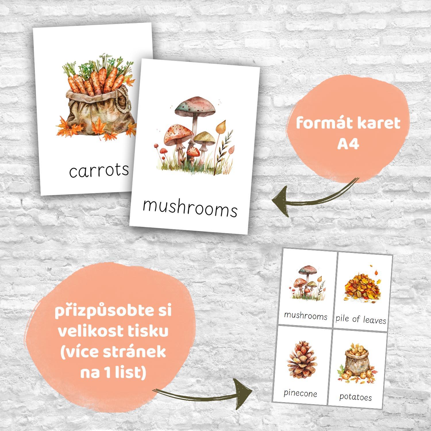 FLASHCARDS AUTUMN | Karty a 20 aktivit do výuky | Učitelnice