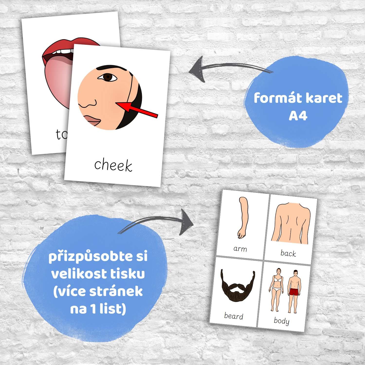 FLASHCARDS BODY PARTS | Karty a 20 aktivit do výuky | Učitelnice