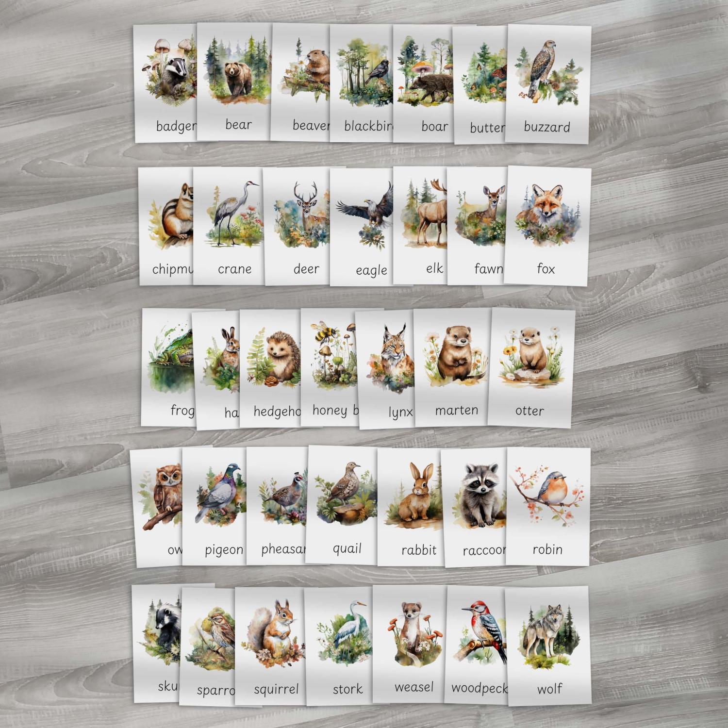 FLASHCARDS FOREST ANIMALS | Karty a 20 aktivit do výuky | Učitelnice