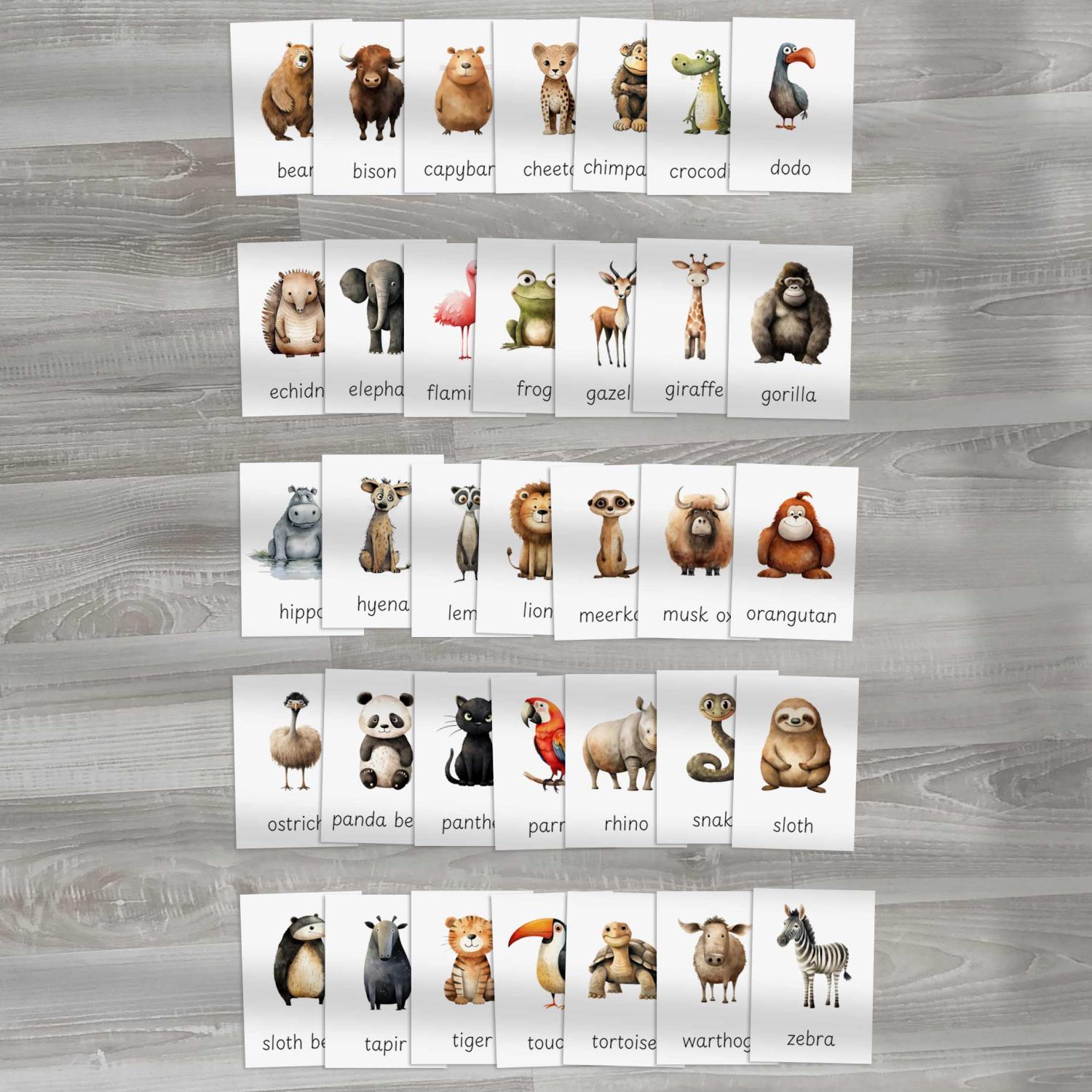FLASHCARDS WILD ANIMALS | Karty a 20 aktivit do výuky | Učitelnice