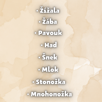 Životní cyklus 2 | Učitelnice