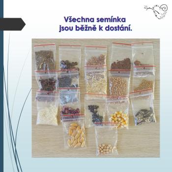Rostliny a jejich semena | Učitelnice