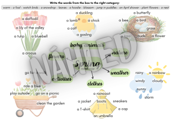 Spring: mind map, speaking cards | Učitelnice