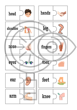 English: Body Parts | Učitelnice